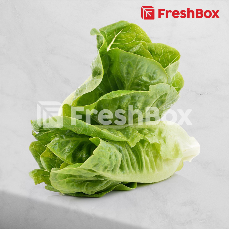 Romaine Lettuce 250gr (Pck)